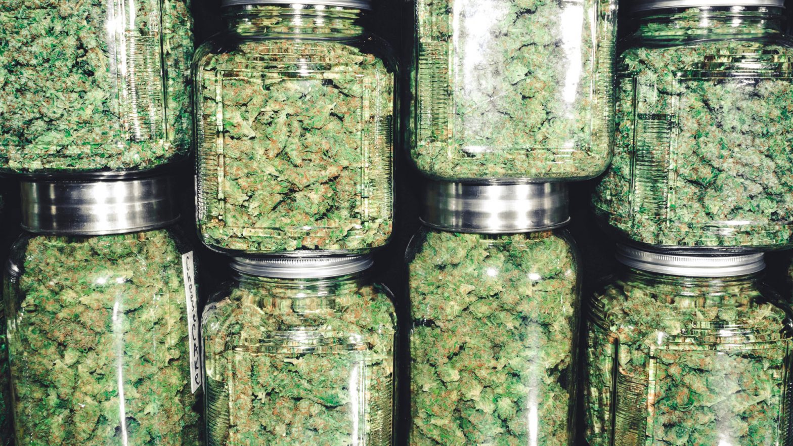 Mason jars filled with cannabis