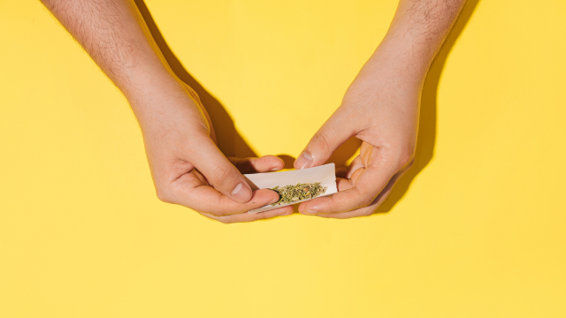 23+ What To Use For Rolling Paper