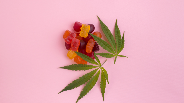 Where Can You Buy Earthmed CBD Gummies: Best Sources!